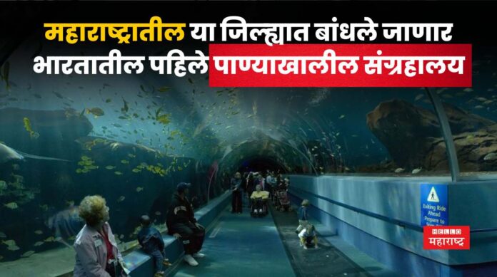 Underwater Museum Underwater Museum