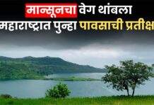 मान्सूनचा वेग थांबला, महाराष्ट्रात पुन्हा पावसाची प्रतीक्षा! IMDचा नवा अंदाज जाहीर