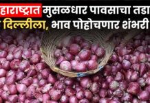 महाराष्ट्रात मुसळधार पावसाचा तडाखा ; झळ दिल्लीला, कांदा भाव पोहोचणार शंभरी पार ?