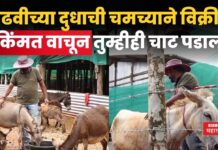 Donkey Milk : गाढवीच्या दुधाची चमच्याने विक्री!! किंमत वाचून तुम्हीही चाट पडाल Donkey Milk