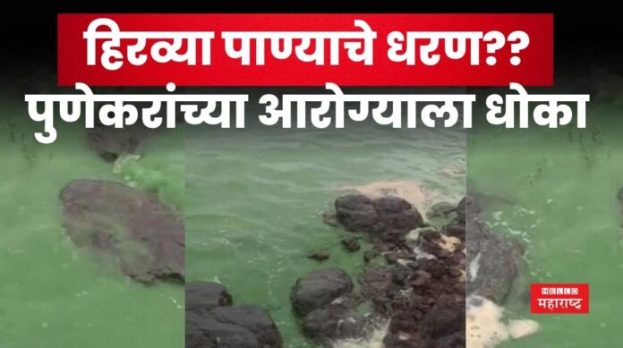 Green Colour Dam Green Colour Dam