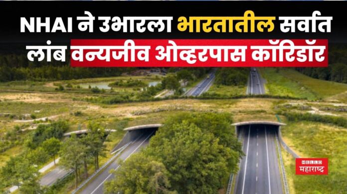 India's Longest Wildlife Overpass