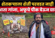 शेतकऱ्याला शेती परवडत नाही आता गांजा, अफूचे पीक घेऊन द्यावे; ‘7/12 कोरा कोरा कोरा’ यात्रेतून बच्चू कडूंचा भाजपवर निशाणा bachhu kadu padyatra