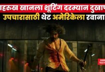 Shahrukh Khan Injured : शाहरुख खानला शूटिंग दरम्यान दुखापत; उपचारासाठी थेट अमेरिकेला रवाना Shahrukh Khan Injured
