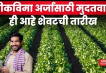 Crop Insurance Scheme : शेतकऱ्यांना दिलासा!! पीकविमा अर्जासाठी मुदतवाढ; ही आहे शेवटची तारीख Crop Insurance Scheme