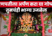 Ganeshotsav 2025 : गणपतीला अर्पण करा या गोष्टी; तुमचंही भाग्य उजळेल Ganeshotsav 2025