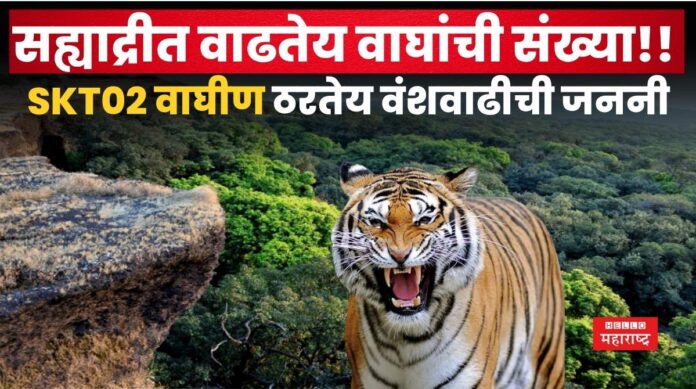 Sahyadri Tiger Reserve