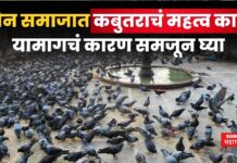 जैन समाजामध्ये कबुतराचं महत्व कसं काय? यामागचं कारण समजून घ्या dadar kabutar khana