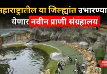 Zoo In Jath : महाराष्ट्रातील या जिल्ह्यांत उभारण्यात येणार नवीन प्राणी संग्रहालय Zoo In Jath