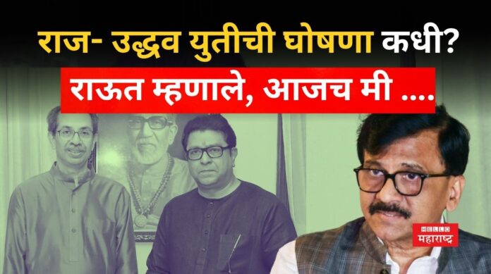 MNS- Thackeray Group Alliance