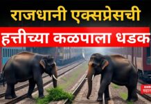 Rajdhani Express Accident : राजधानी एक्सप्रेसची हत्तीच्या कळपाला धडक; डबे घसरले, 8 मृत्यू Rajdhani Express Accident